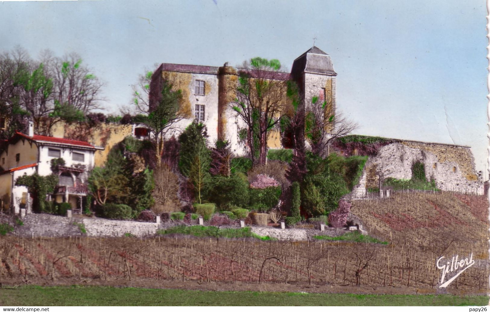 Cpsm Villebois Lavalette  Le Chateau - Other & Unclassified