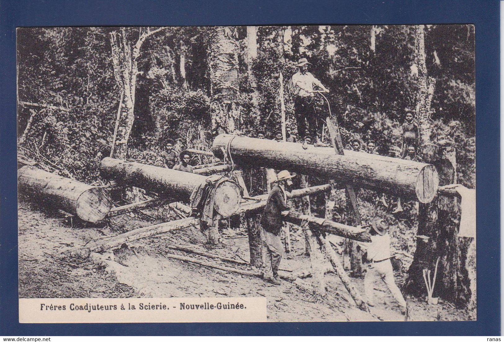 CPA Nouvelle Guinée Non Circulé Métier Du Bois Scieur De Long - Sonstige & Ohne Zuordnung