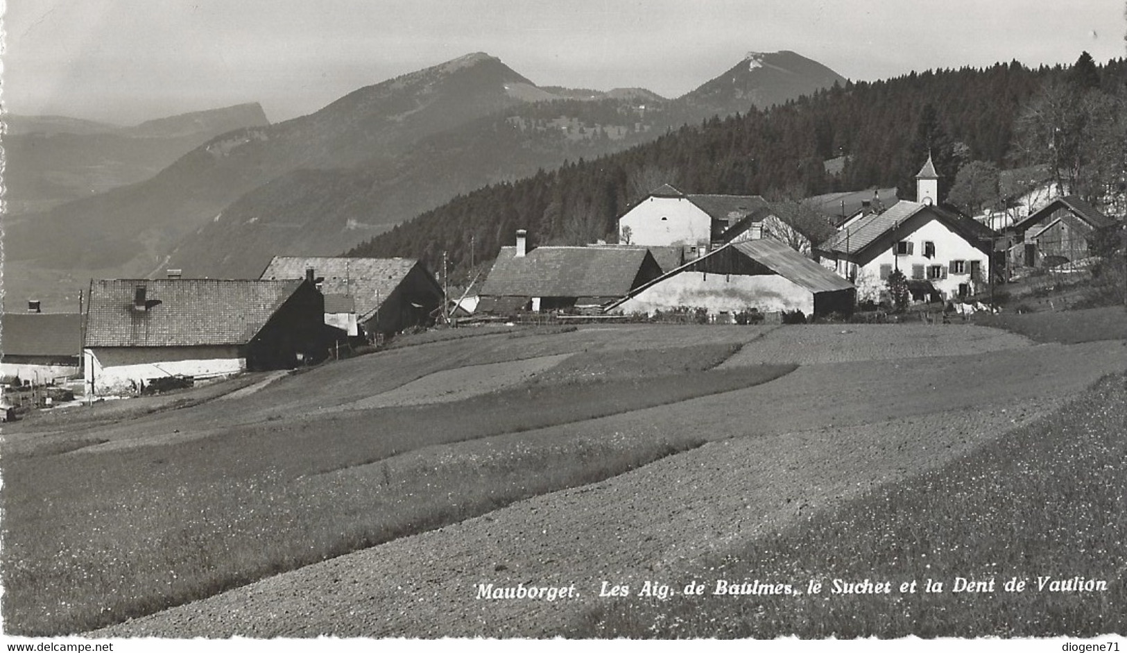 Mauborget Aig. De Baulmes, Suchet Et Dent De Vaulion - Baulmes