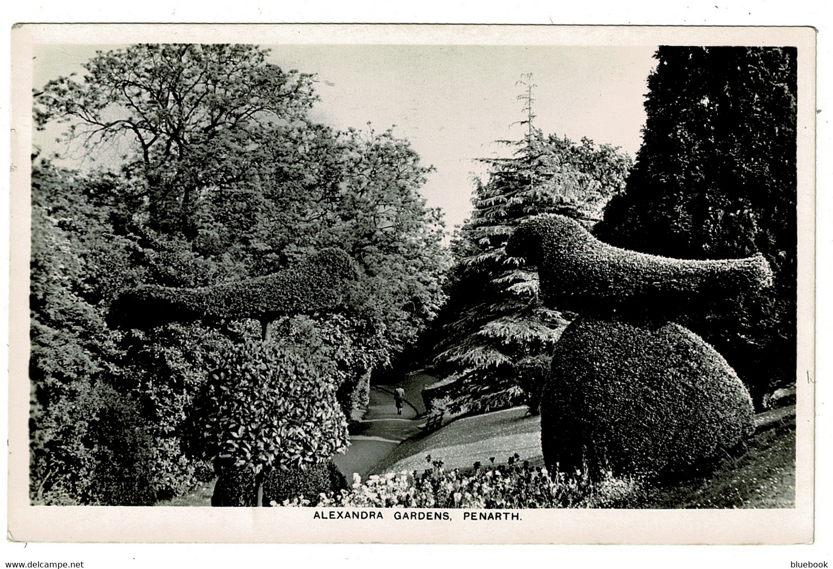 Ref 1522 - 1960 Real Photo Postcard - Topiary Alexandra Gardens Penarth - Glamorgan Wales - Glamorgan