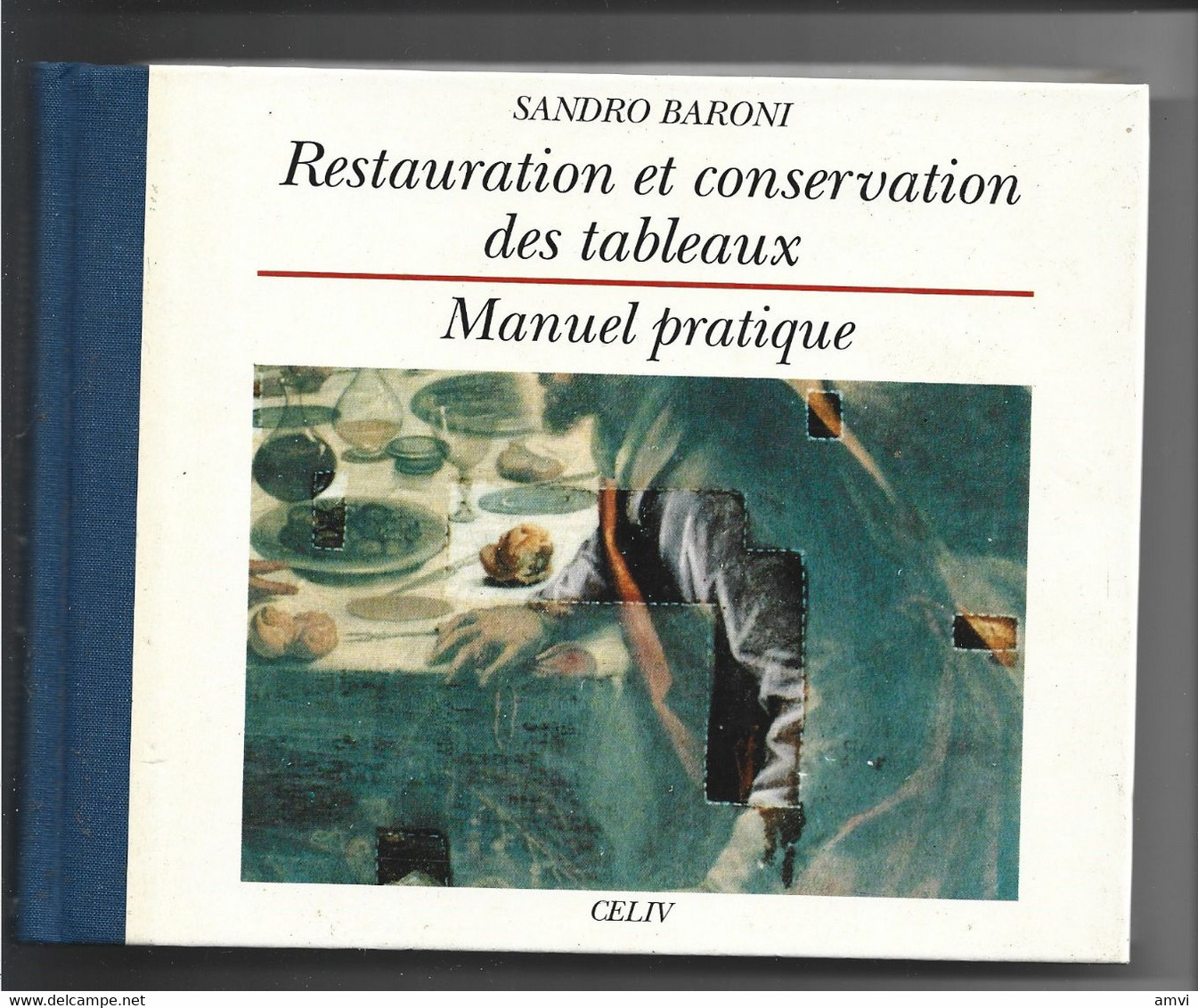 22-1 - 341 Eta6 Restauration Et Conservation Des Tableaux - Manuel Pratique SANDRO BARONI - Do-it-yourself / Technical