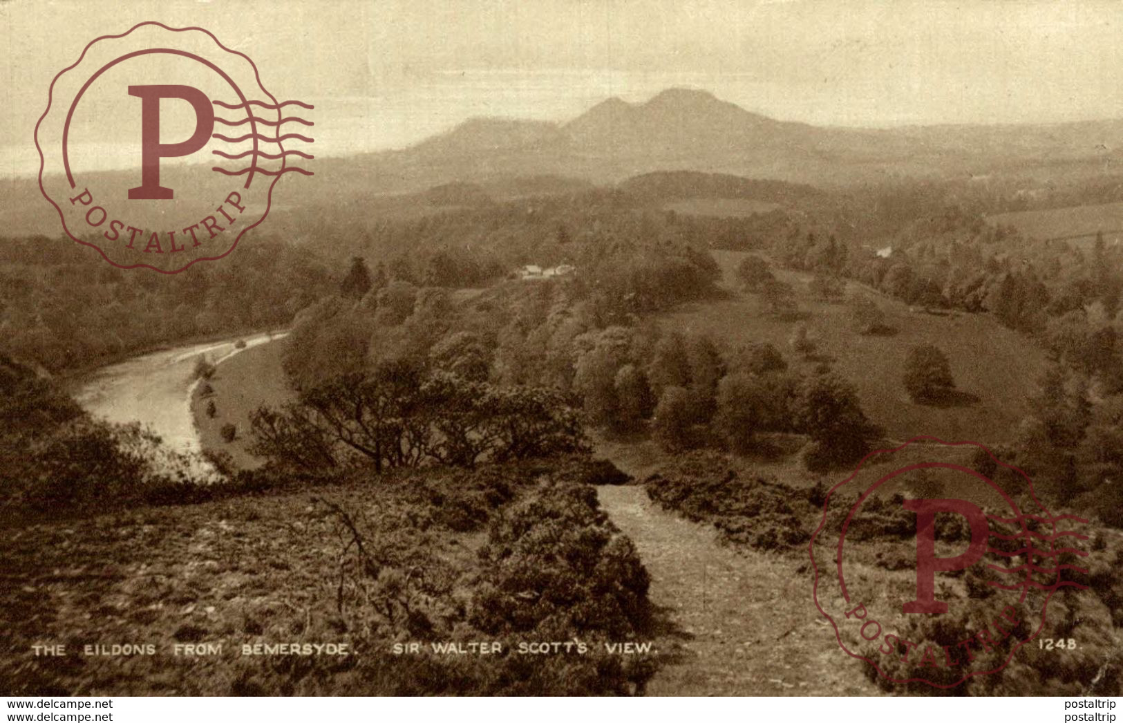 THE EILDONS From BEMERSYDE - Roxburghshire