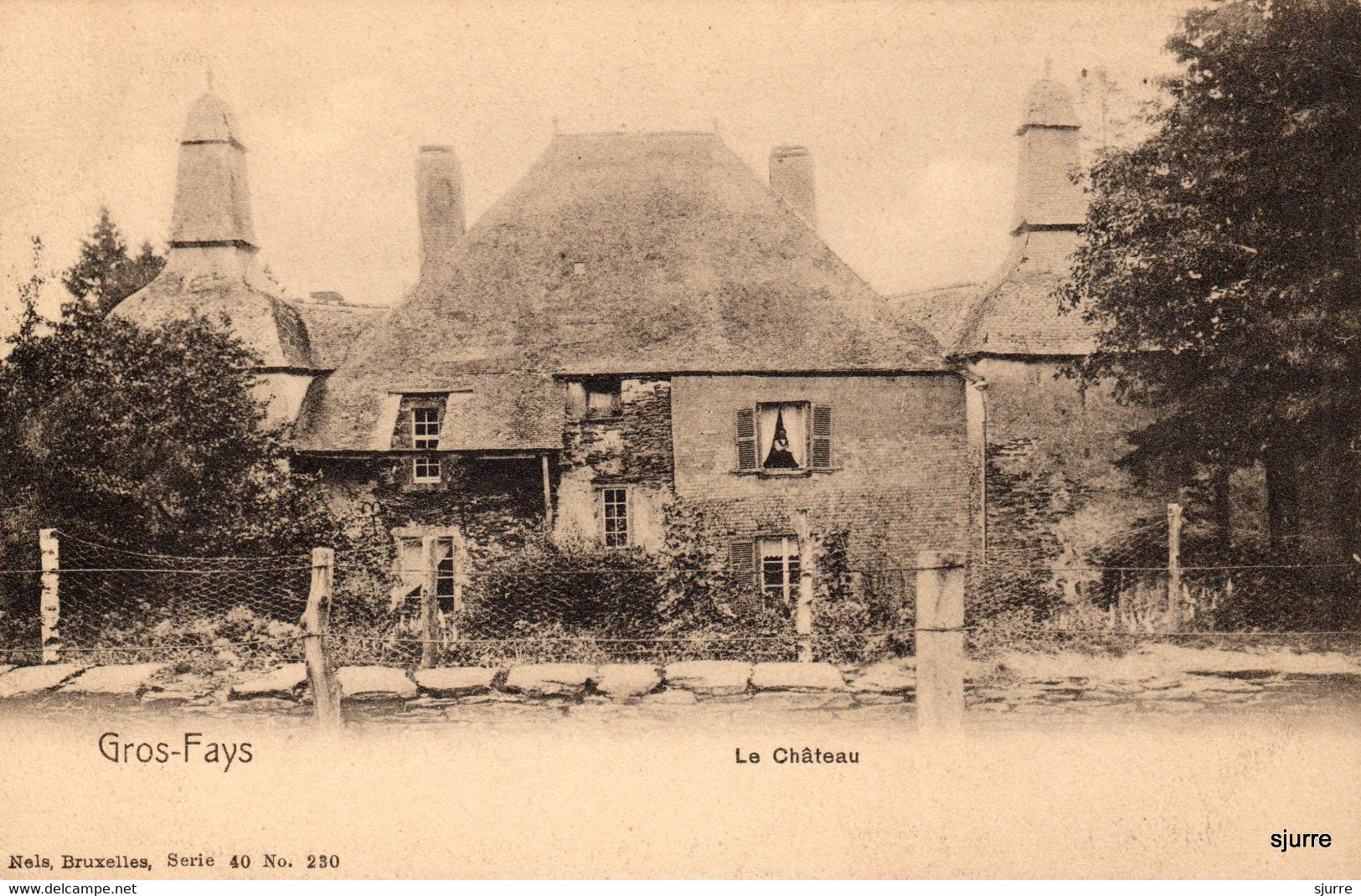 Gros-Fays - Le Château - Kasteel - Bievre