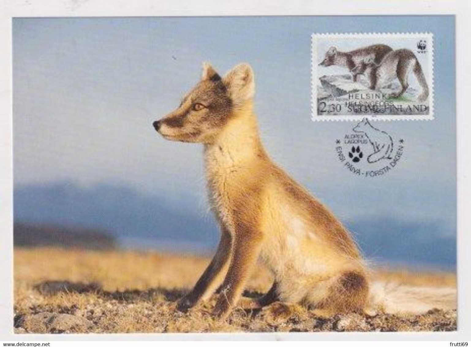 MC 034305 FINLAND - Arcitc Fox - Cartes-maximum (CM)