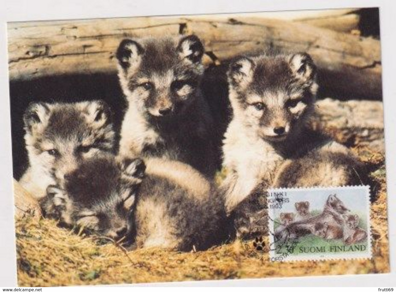 MC 034306 FINLAND - Arcitc Fox - Cartes-maximum (CM)