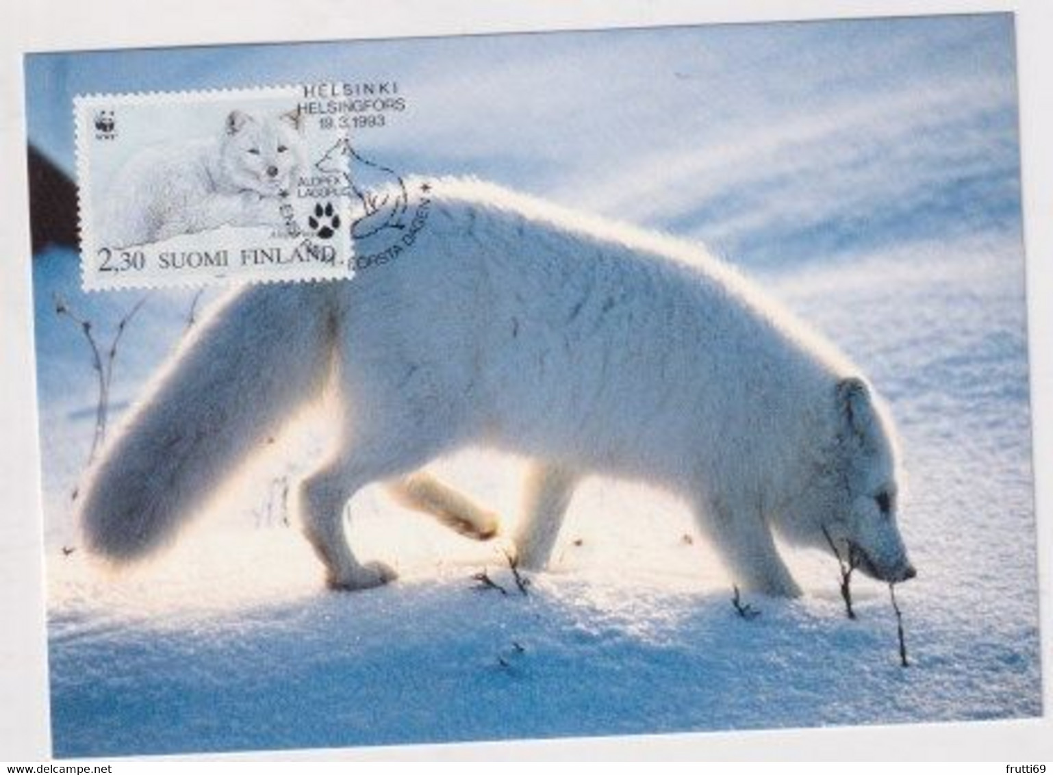 MC 034308 FINLAND - Arcitc Fox - Cartes-maximum (CM)