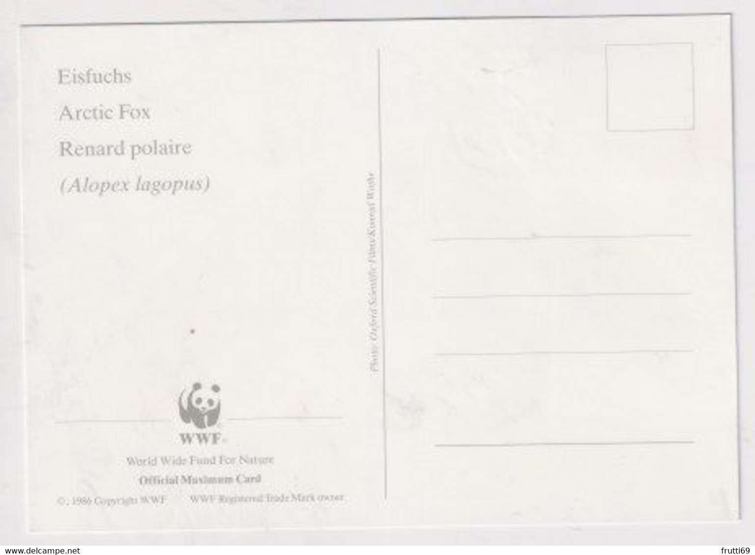 MC 034308 FINLAND - Arcitc Fox - Cartes-maximum (CM)