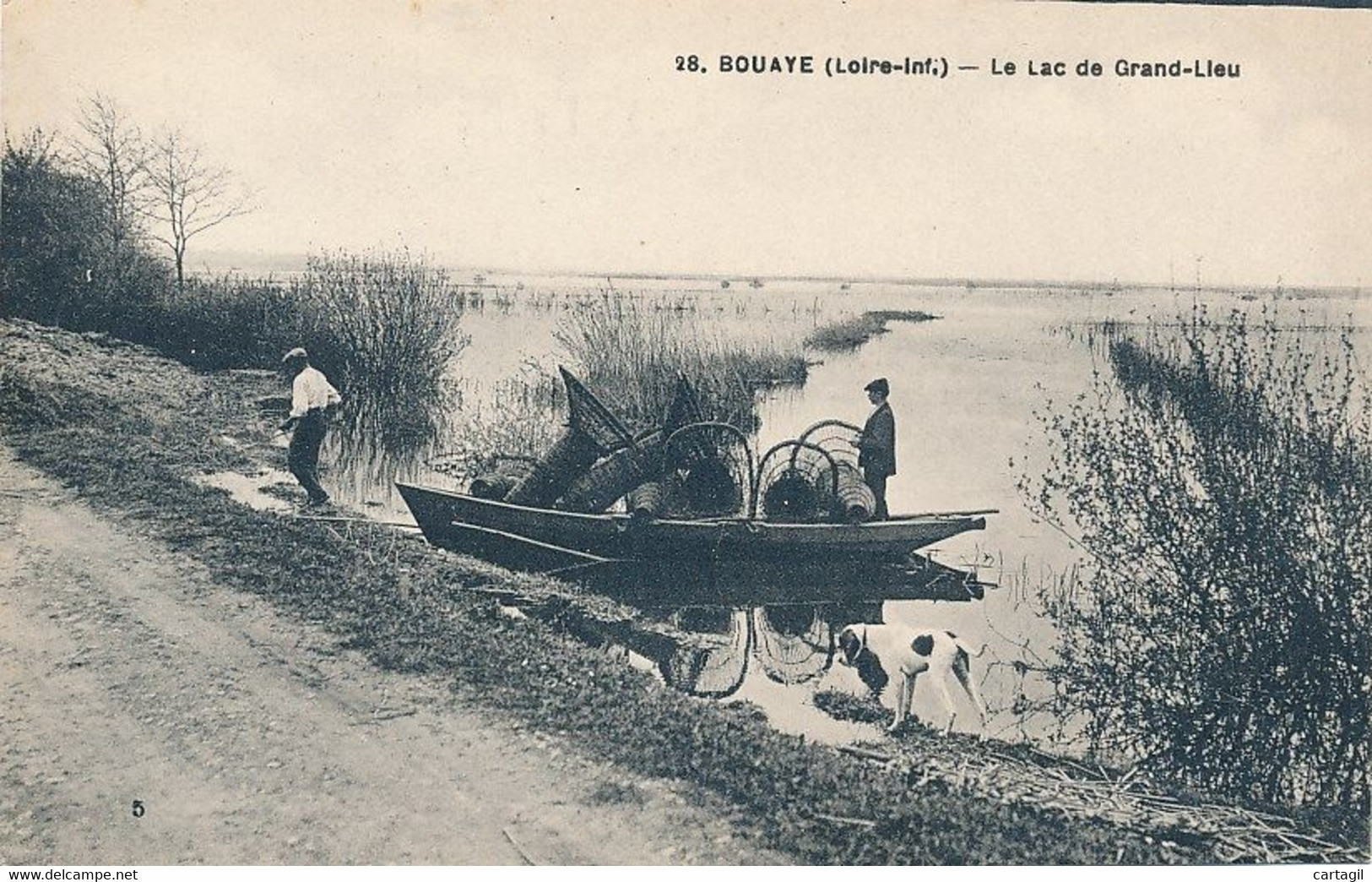 CPA-19140-44-Bouaye-Lac De Grand Lieu  -Envoi Gratuit - Bouaye