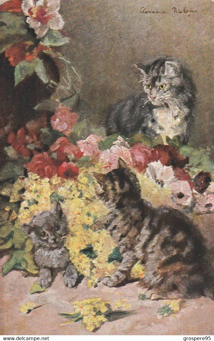 CHATS DANS DES FLEURS ILLUSTRATEUR SIGNE ? 1909 - Cats