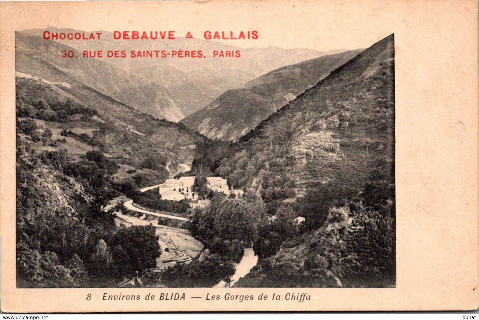 Algérie - Environs De BLIDA - Les Gorges De La Chiffa - Publicité Chocolat Debauve & Galalis - Blida