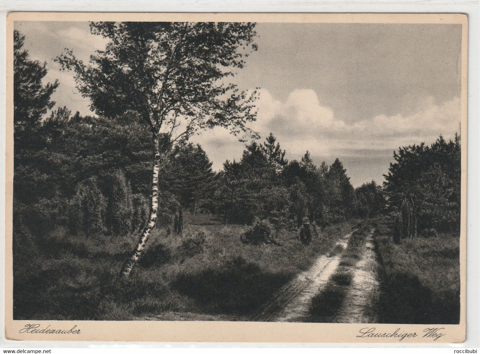 Lüneburger Heide, Heidezauber - Lüneburger Heide