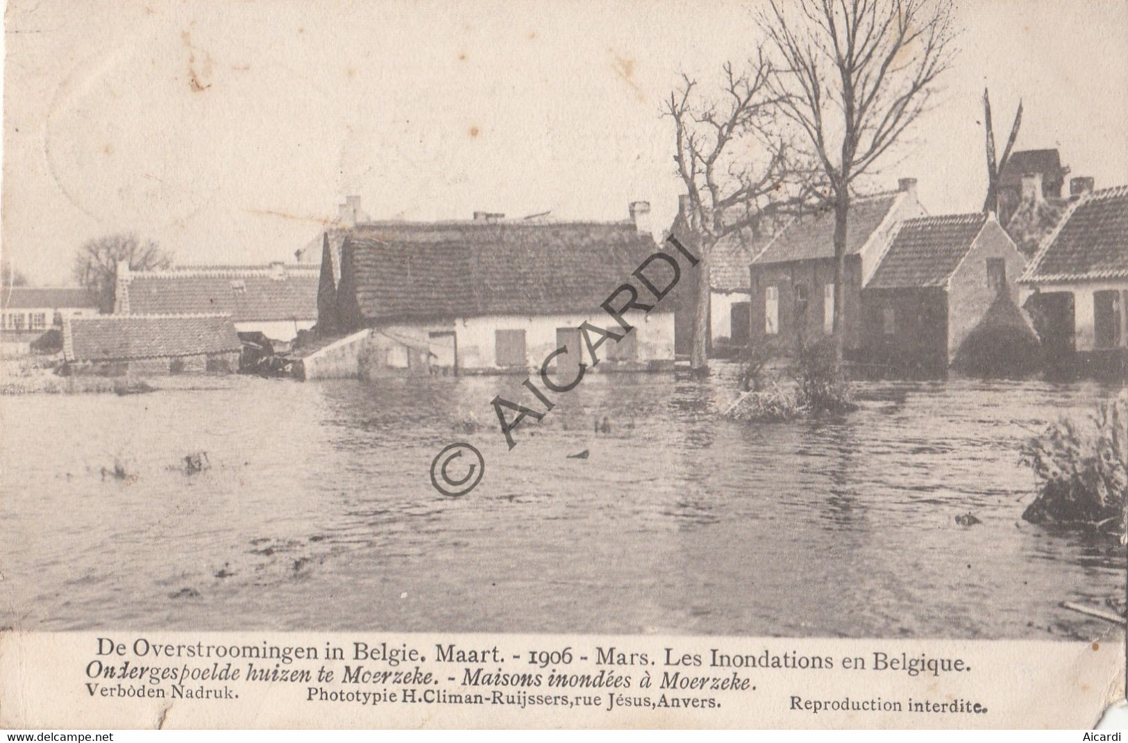 Postkaart / Carte Postale - MOERZEKE - De Overstroomingen In België Maart 1906   (A599) - Hamme