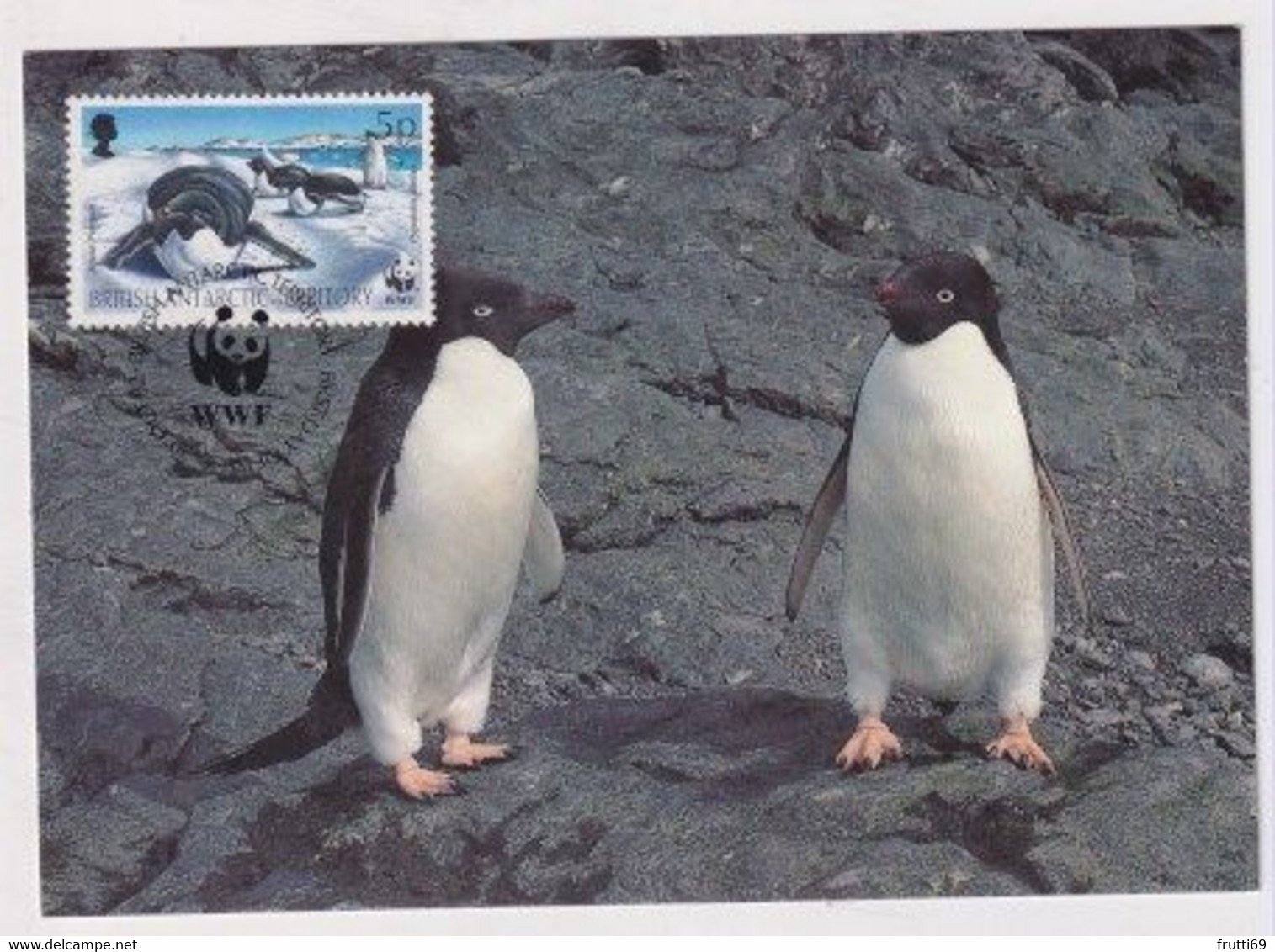 MC 034491 BRITISH ANTARCTIC TERRITORY - Adelie Penguin - Cartes-maximum