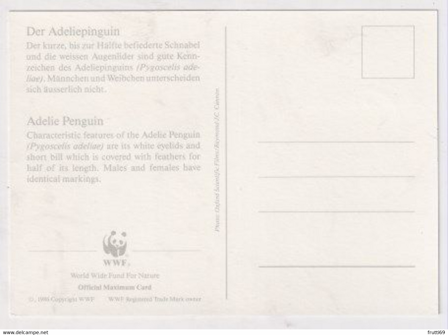 MC 034491 BRITISH ANTARCTIC TERRITORY - Adelie Penguin - Cartoline Maximum