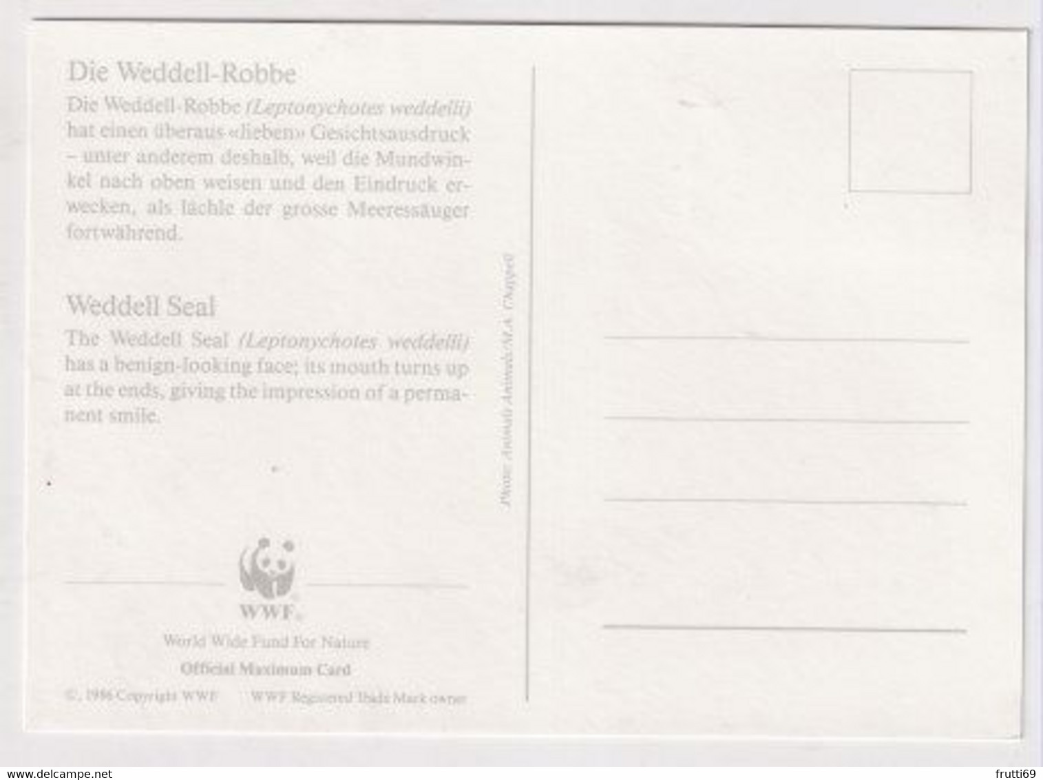 MC 034492 BRITISH ANTARCTIC TERRITORY - Weddell Seal - Maximumkarten