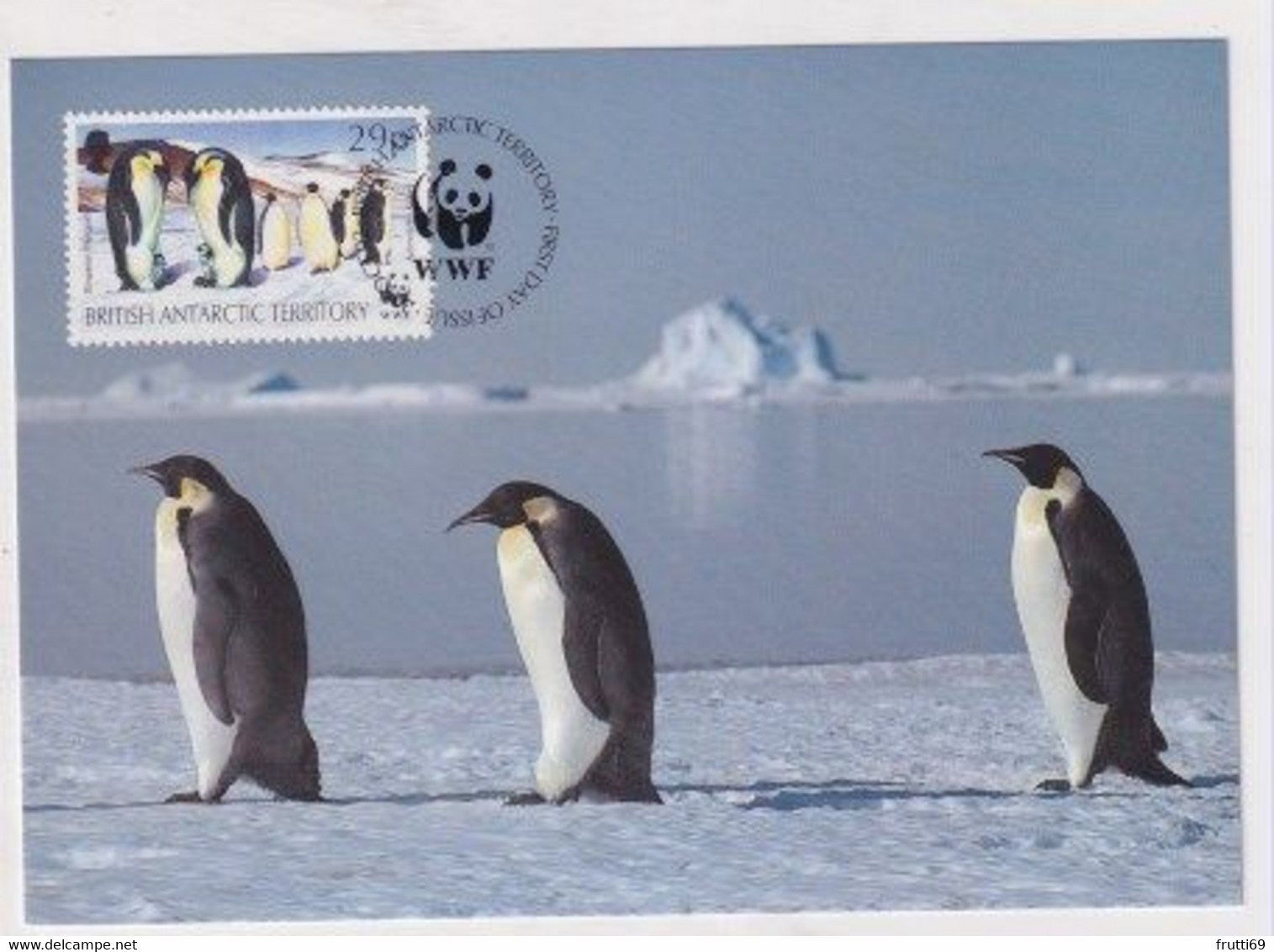 MC 034493 BRITISH ANTARCTIC TERRITORY - Emperor Penguin - Tarjetas – Máxima