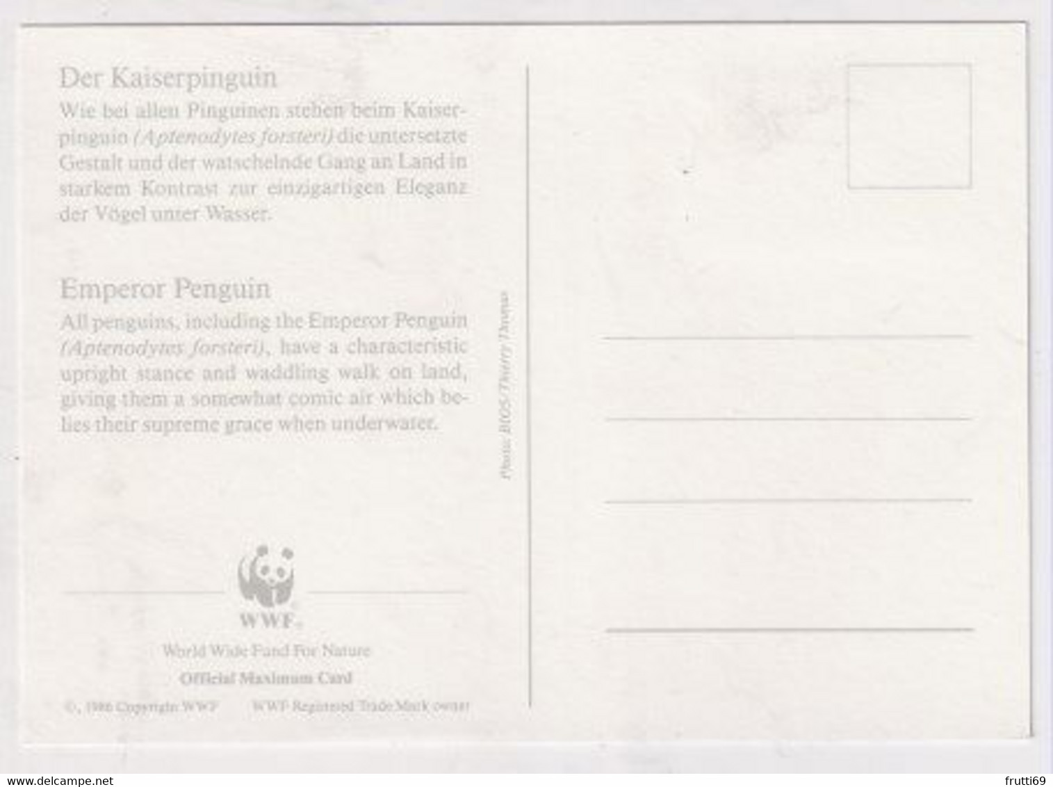 MC 034493 BRITISH ANTARCTIC TERRITORY - Emperor Penguin - Cartes-maximum