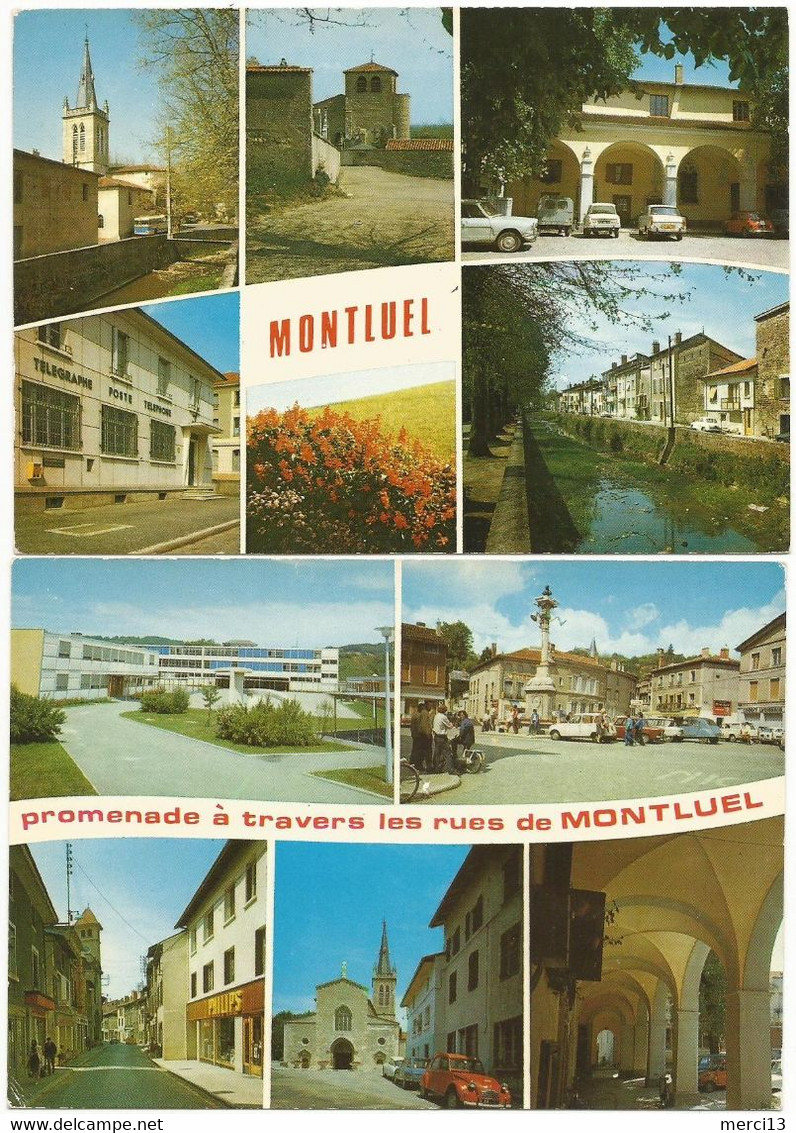 Lot De 2 CPM De MONTLUEL (01) – Multivues. Editions Cellard, Bron. - Montluel