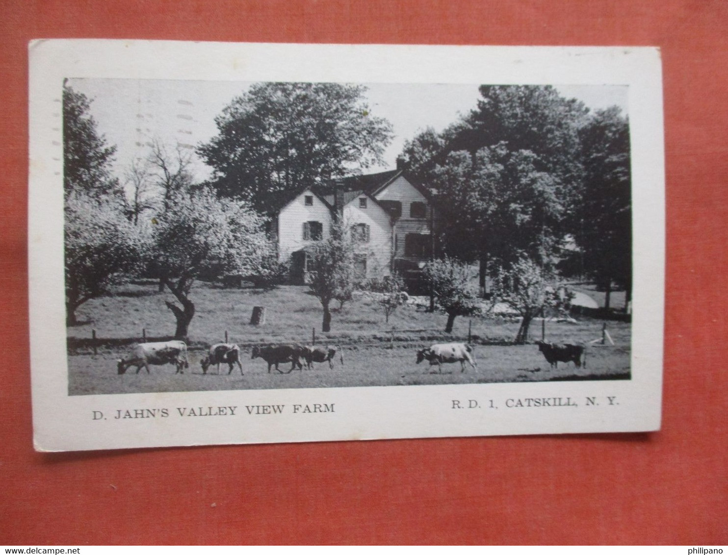 D. Jahn's Valley View Farm.  Catskills  New York > Catskills    Ref 5470 - Catskills