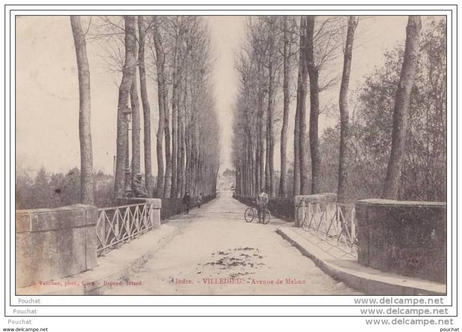 36) Villedieu (Indre) Avenue De Mehun - Other & Unclassified