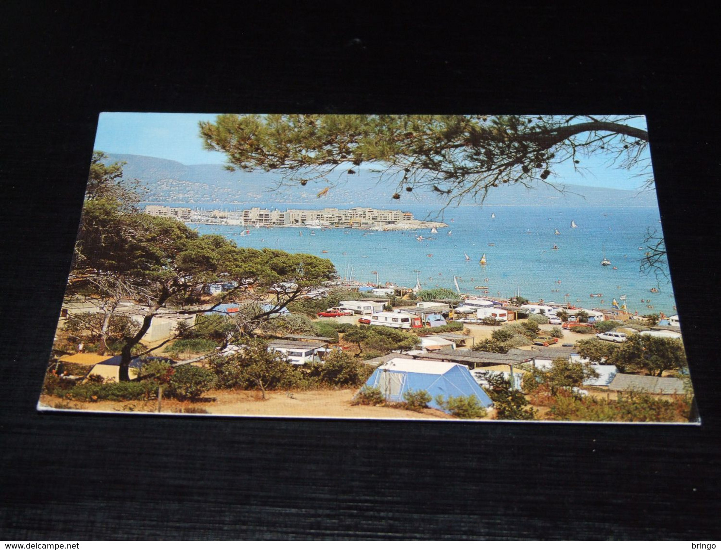 40646-                          CAMP DU DOMAINE, LA FAVIERE, BORMES LES MIMOSAS, COTE D'AZUR - Bormes-les-Mimosas