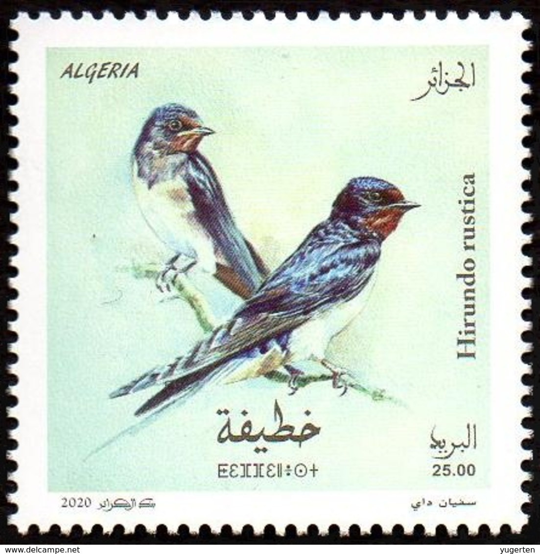 ALGERIE ALGERIA 2020 - 1v - MNH Hirondelles Hirondelle Swallows Swallow Schwalben Schlucke Birds Aves Vögel Golondrinas - Golondrinas