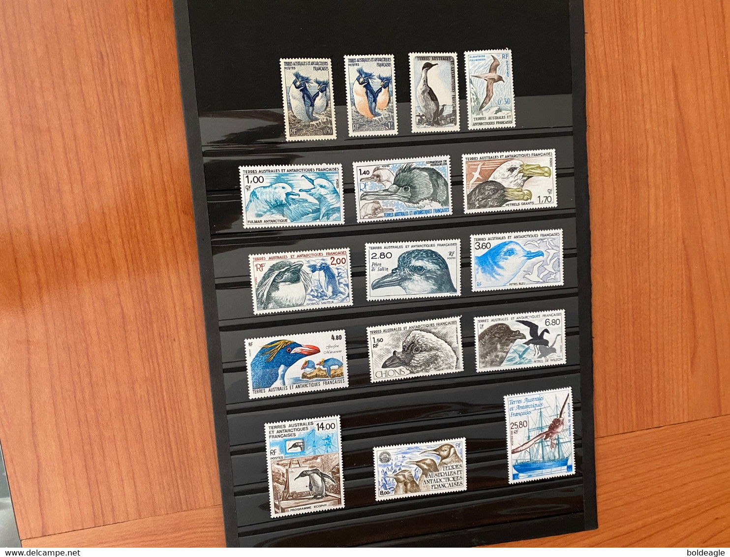 TAAF - Lot De 17 Timbres Thème Oiseaux NEUFS SANS CHARNIÈRE - Collections, Lots & Séries