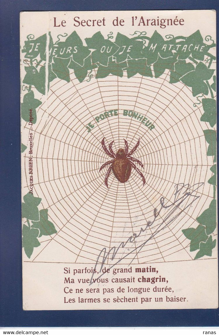 CPA Araignée Spider Non Circulé - Insetti