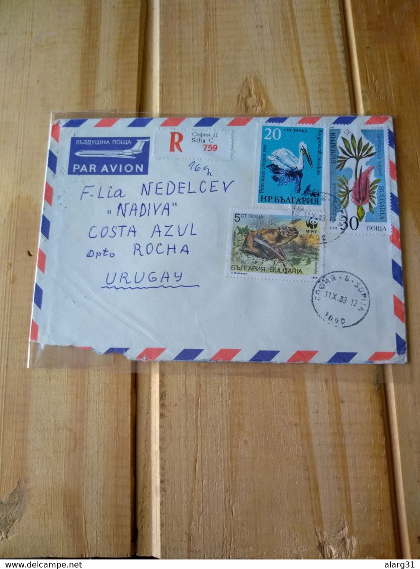 Bulgaria.letter Registered To Uruguay. 1989 Rare Destine.2 Diff WWF Stamps Bat.pelican.for Postage .reg Post E 7 Conmem - Briefe U. Dokumente