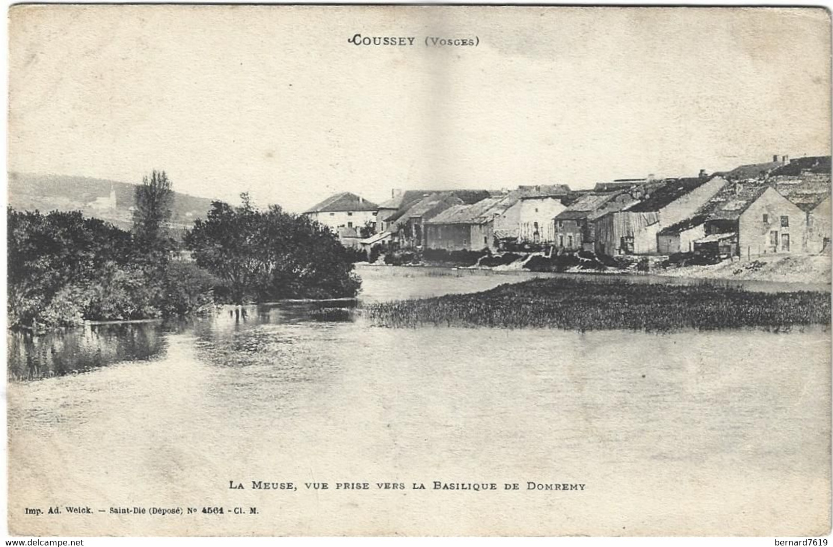 88     Coussey  - La Meuse Vue Prise  Vers La Basilique De  Domremy - Coussey