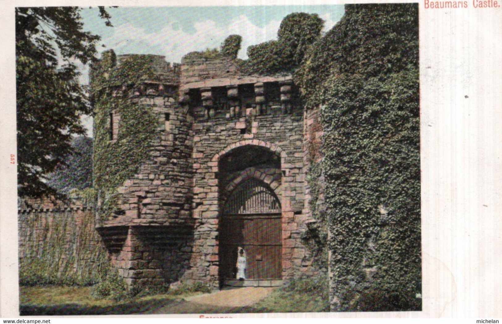 CPA   PAYS DE GALLES---ANGLESEY---BEAUMARIS CASTLE---1903 - Anglesey