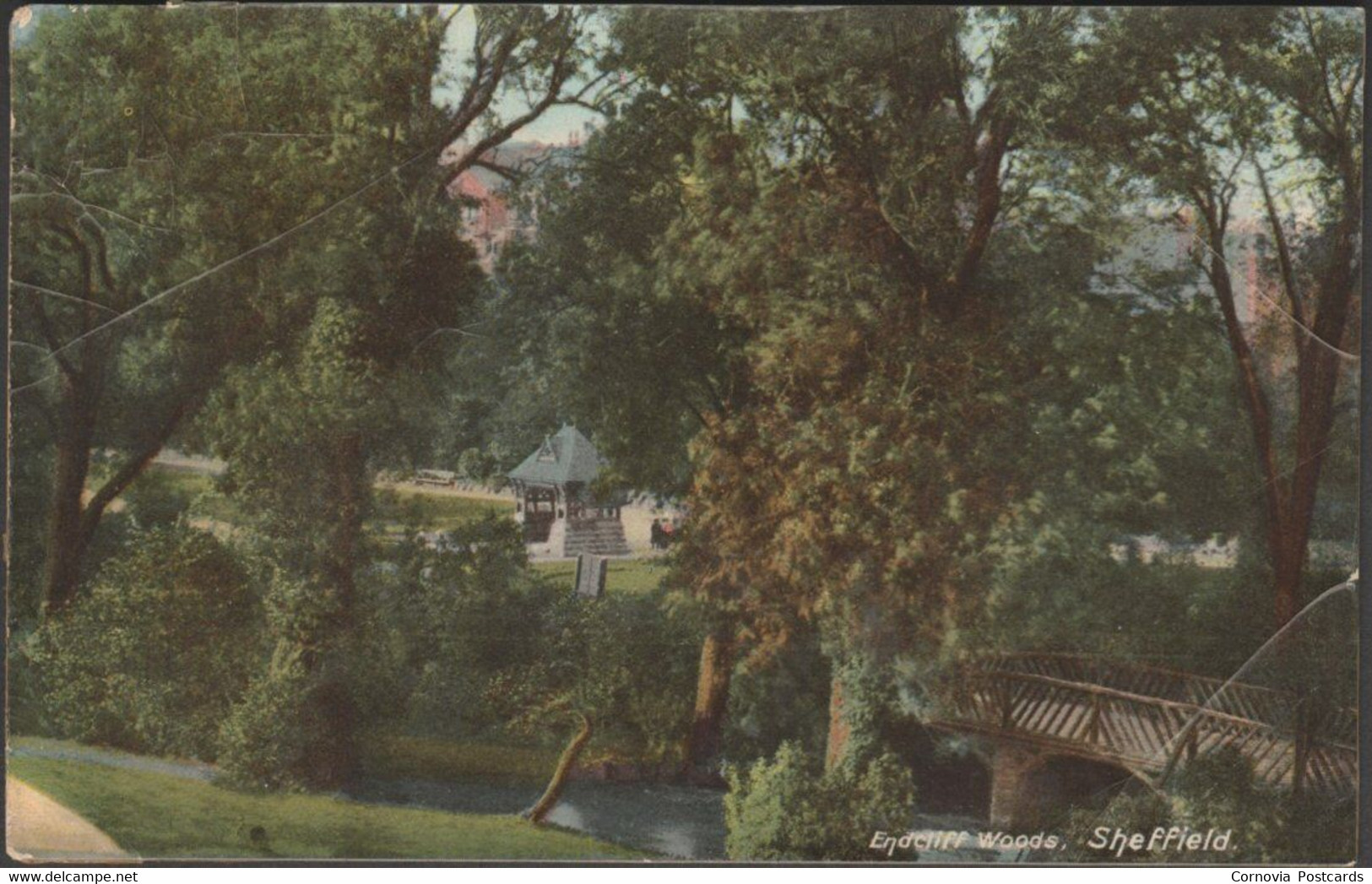 Endcliffe Woods, Sheffield, Yorkshire, 1908 - Brown & Rawcliffe Postcard - Sheffield