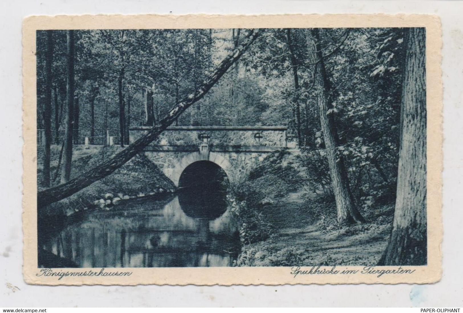 0-1600 KÖNIGS - WUSTERHAUSEN, Spukbrücke Im Tiergarten, 1934, Bahnpost Berlin - Görlitz - Koenigs-Wusterhausen
