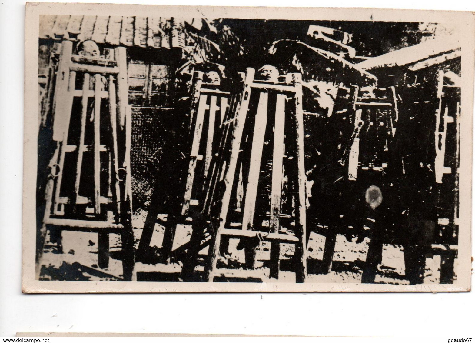 CHINE / CHINA - CARTE PHOTO PRISONNIERS CANGUE - Cina