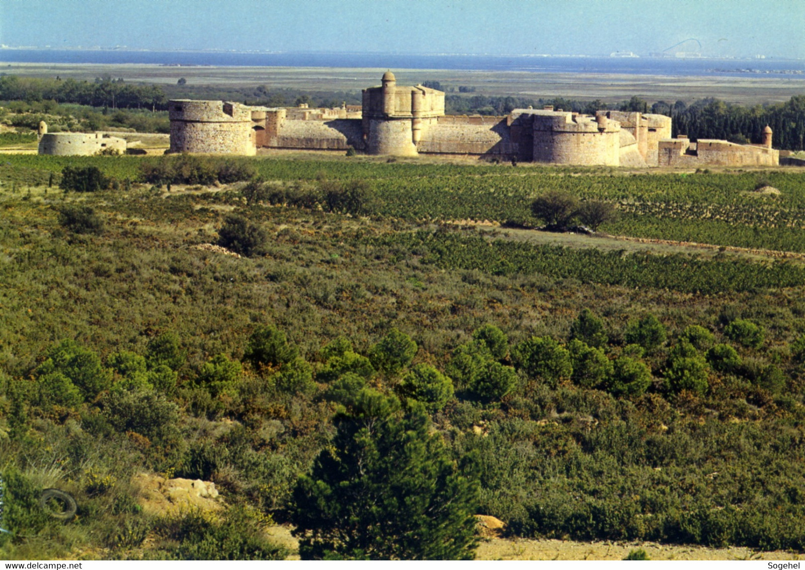 Salses - Château Fort - Vue Générale Vers La Mer - Salses