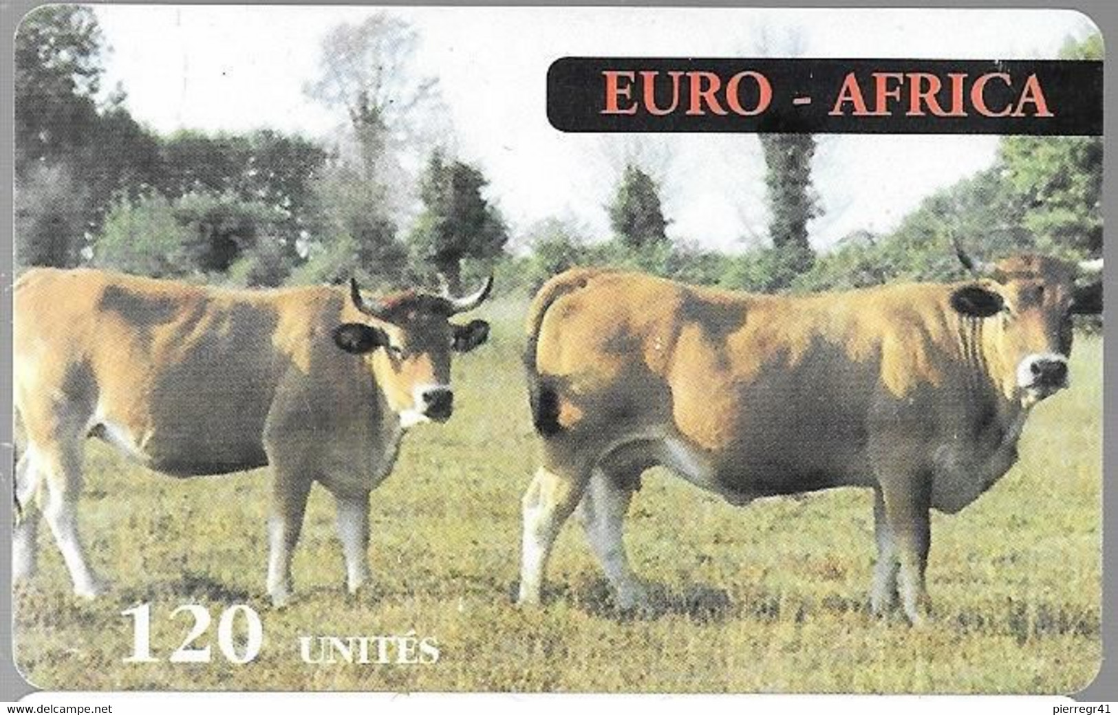 CARTE-PREPAYEE-1997/EURO-AFRICA-120U-VACHES-Gratté-PlasticFin Glacé-V°Autocollant N° Téléphone Acces-TBE/RARE - Vaches