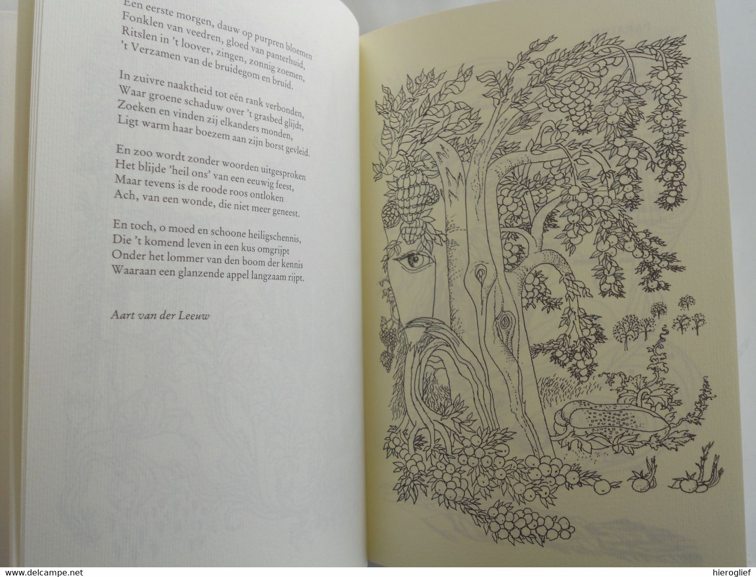 EPPO DOEVE - VAN ADAM TOT NOACH - Tekeningen Aangevuld Met Een Bloemlezing Genesis Poëzie Uit De 20ste Eeuw - Dichtung