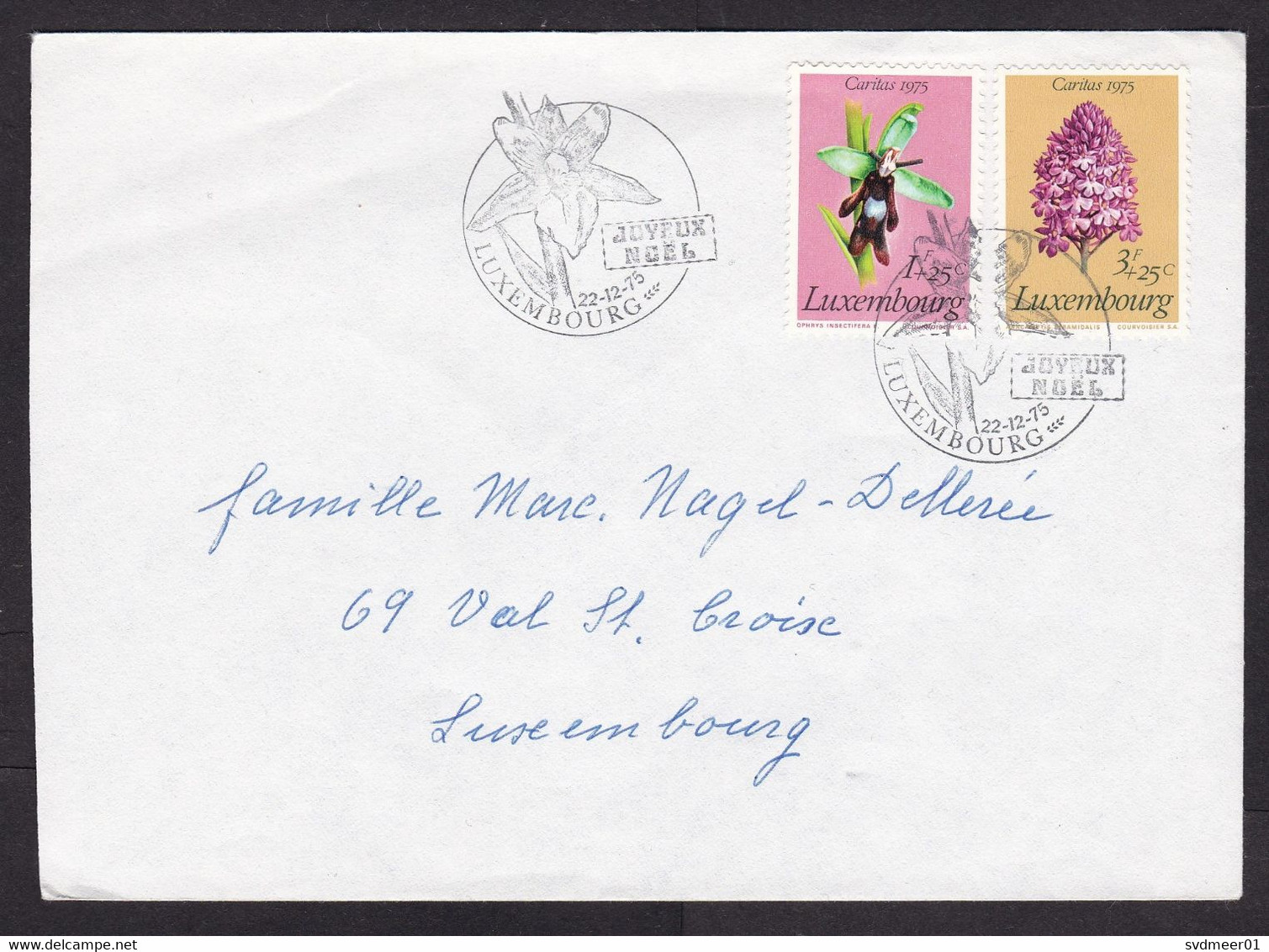 Luxembourg: Cover, 1975, 2 Charity Stamps, Caritas, Flower, Orchid?, Cancel Merry Christmas (minor Crease) - Cartas & Documentos