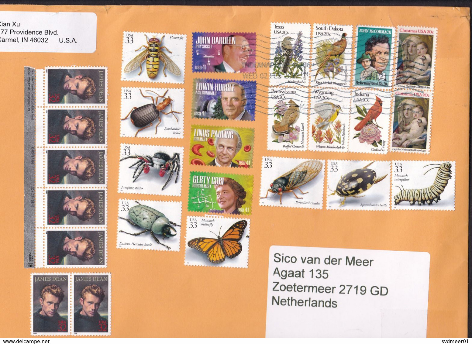 USA: Large Cover To Netherlands, 2022, 27 Stamps, Insect, Bug, Beetle, Butterfly, Science, Bird, Dean (3 Stamps Damaged) - Lettres & Documents