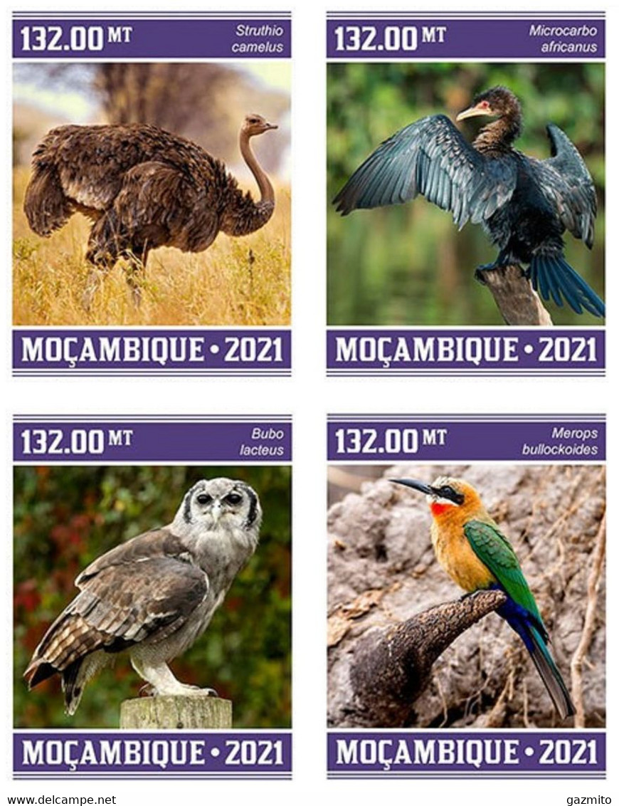Mozambico 2021, Animals, Birds, Owl, Ostrich, 4val IMPERFORATED - Straussen- Und Laufvögel
