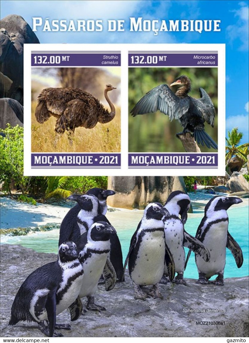 Mozambico 2021, Animals, Birds, Ostric, Pinguins, BF IMPERFORATED - Autruches