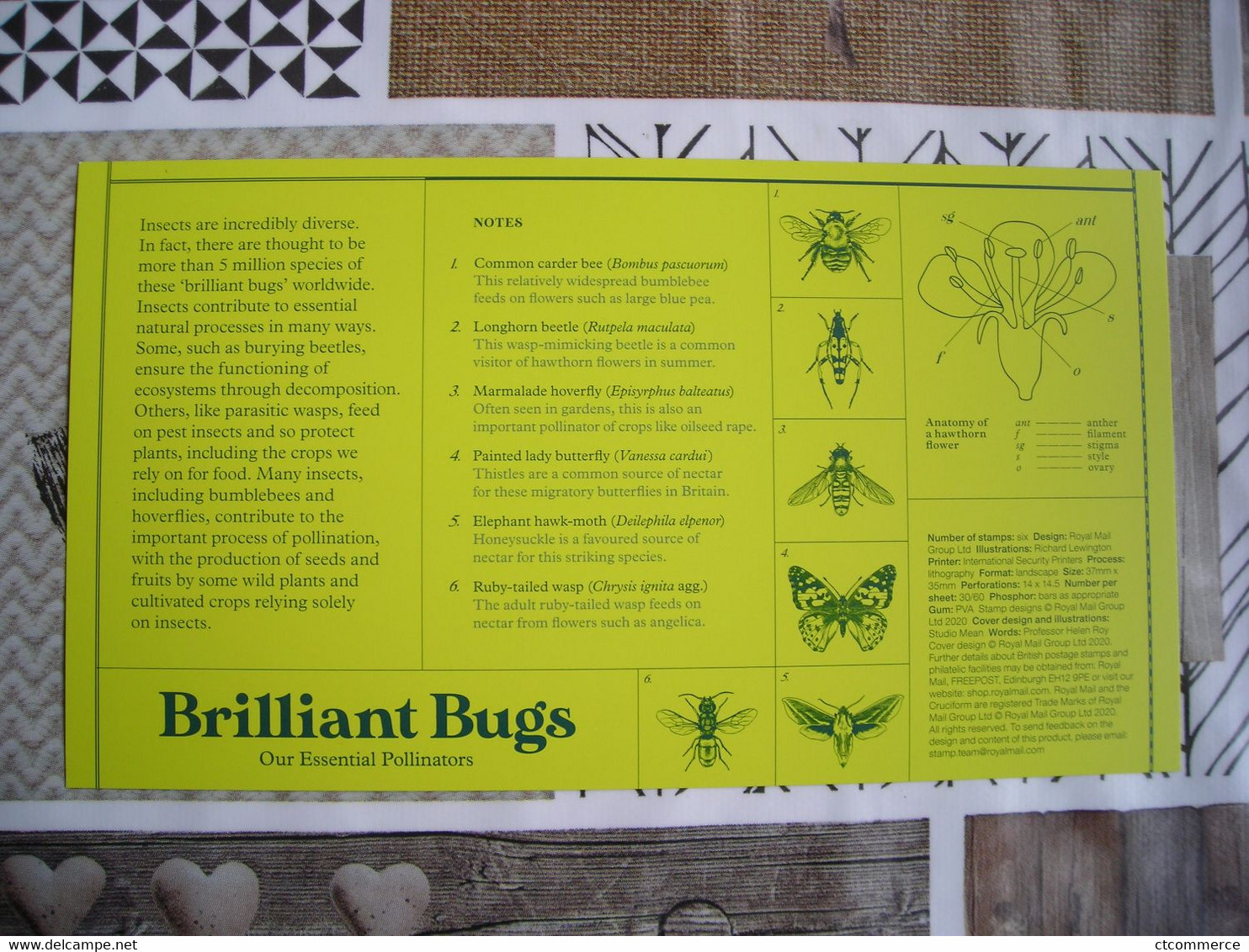 Brilliant Bugs, Common Carder Bee, Abeille - 2011-2020 Decimal Issues