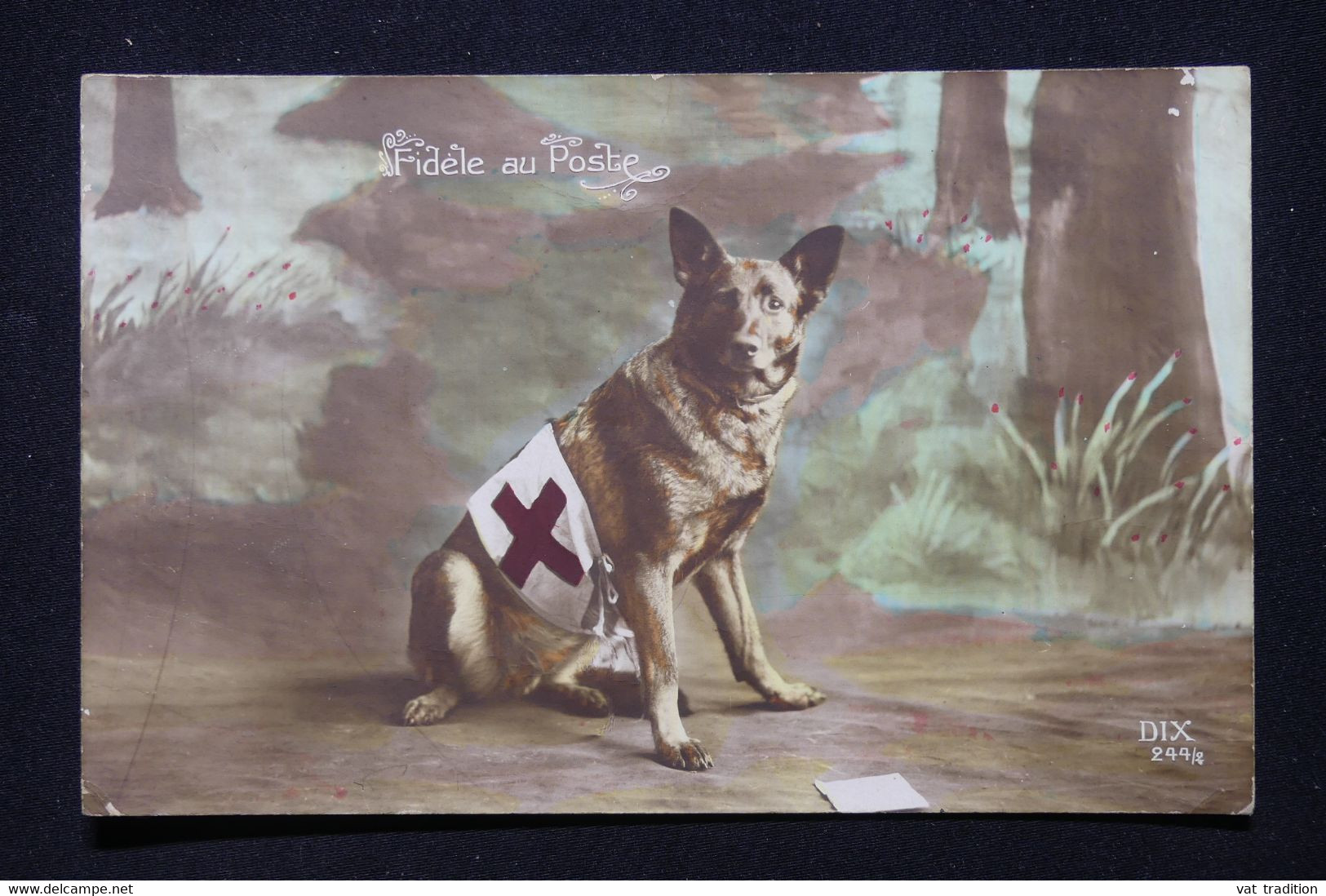 CROIX ROUGE - Carte Postale De Chien Sanitaire, écrite En 1915 - L 116363 - Croix-Rouge