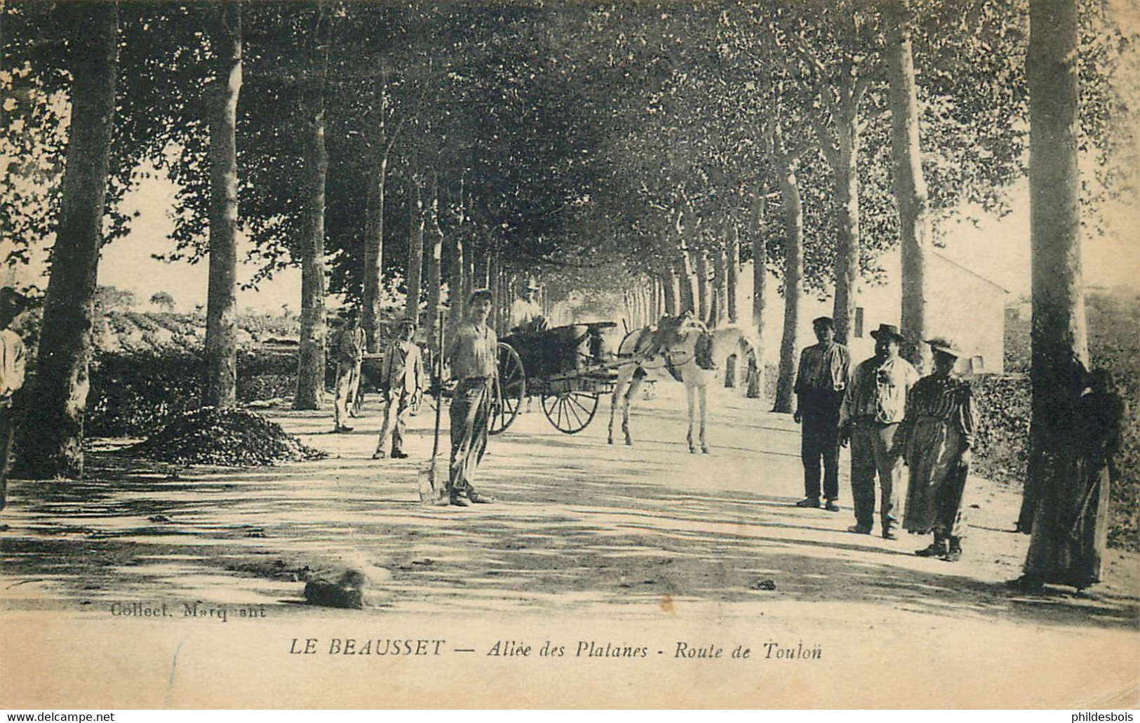 VAR  LE BEAUSSET  Allée Des Platanes - Le Beausset