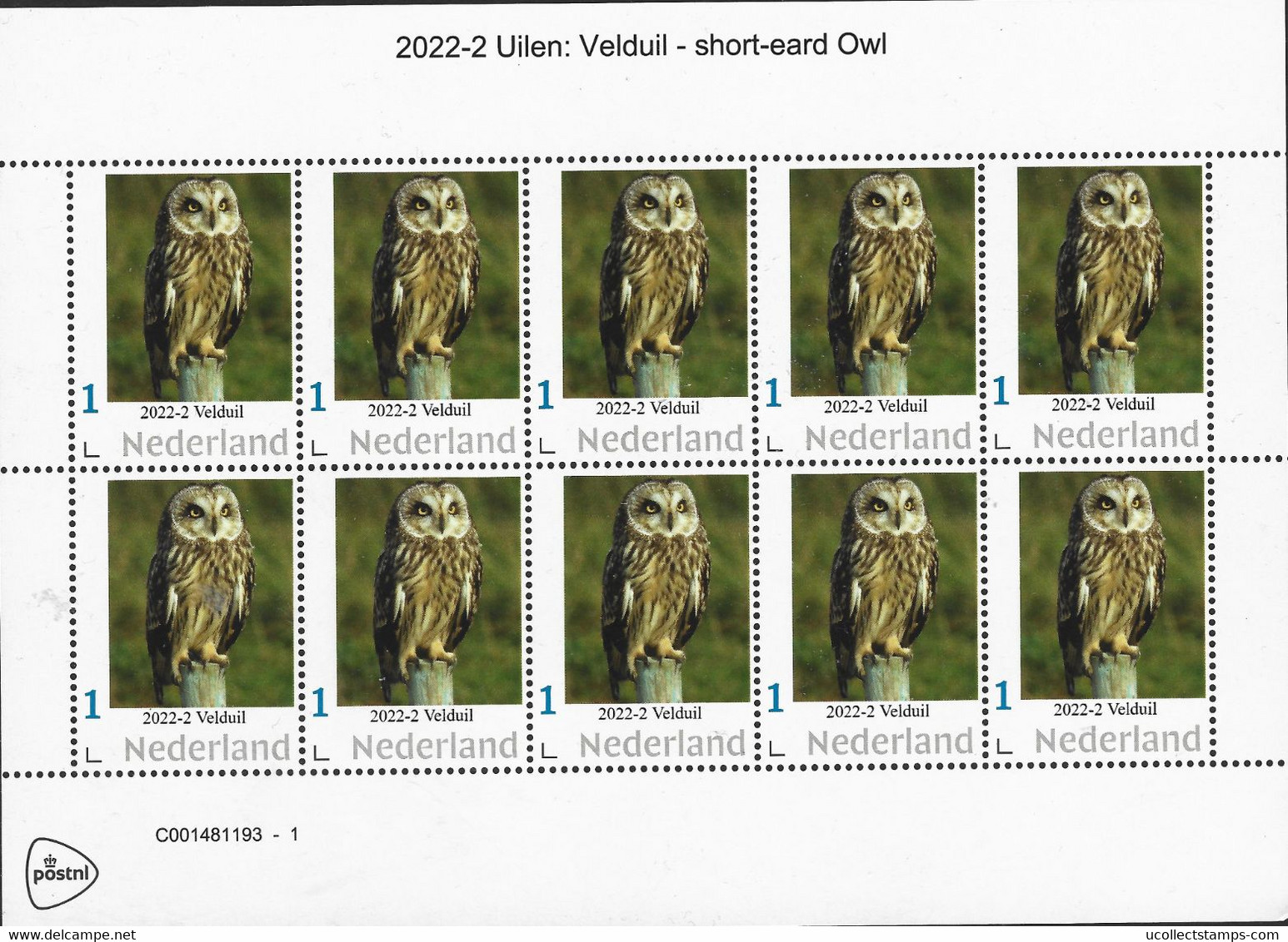 Nederland  2022-2   Uilen - Velduil   Long-eared Owl  Sheetlet     Postfris/mnh/neuf - Neufs