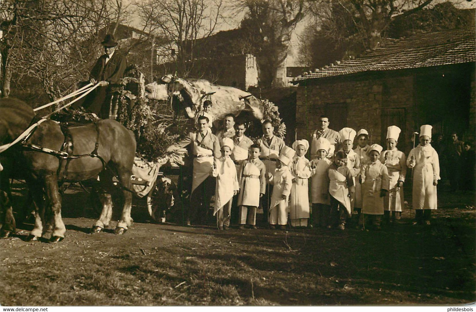 VAR  BARJOLS  Fete  De Saint Marcel  ( Carte Photo) - Barjols