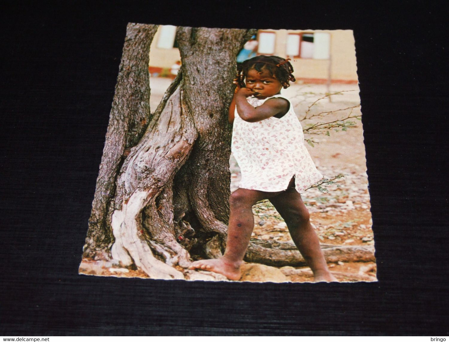 40936-                            BONAIRE, ANTILLEAN GIRL - Bonaire