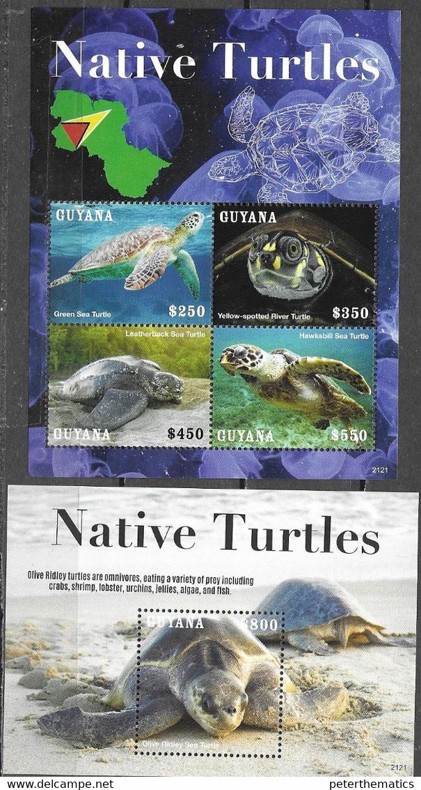 GUYANA, 2021, MNH, REPTILES, TURTLES, NATIVE TURTLES OF GUYANA,  SHEETLET+S/SHEET - Turtles