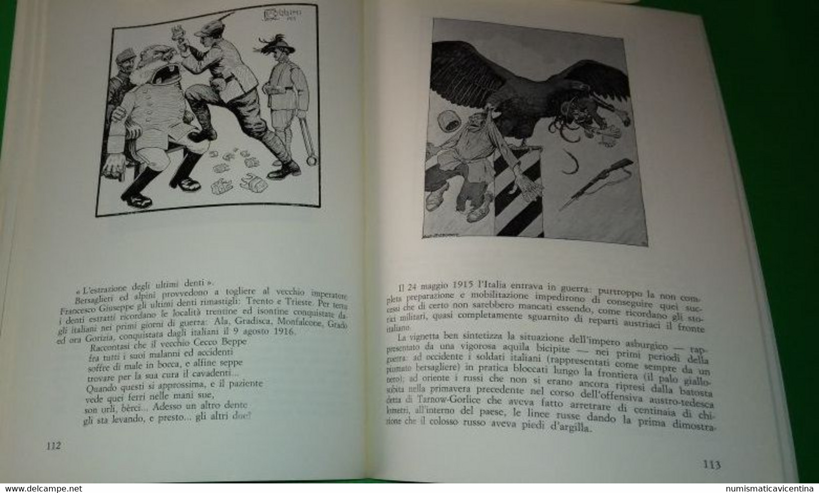 I Bersaglieri Sui Monti Vicentini Di G.Pieropan E A. Kozlovic I Bersaglieri Nella 1 Guerra Mondiale 1915 1918 - Weltkrieg 1914-18