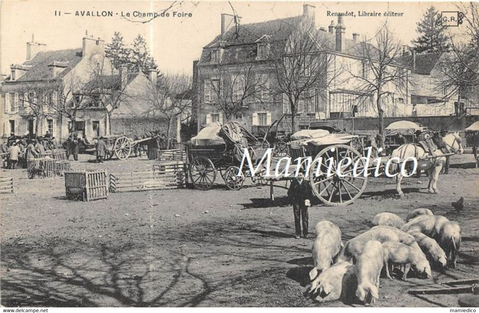 AVALLON. Le Champ De Foire. Charrettes, Attelages, Cochons. 1905  2 Scans - Kirmes